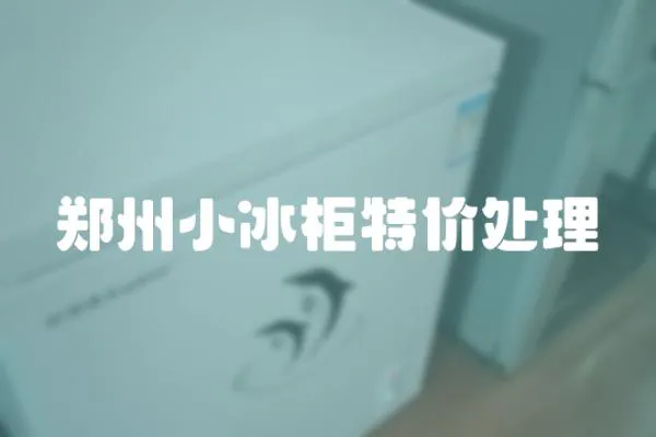 鄭州小冰柜特價(jià)處理