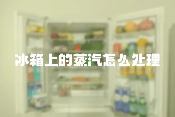 冰箱上的蒸汽怎么處理