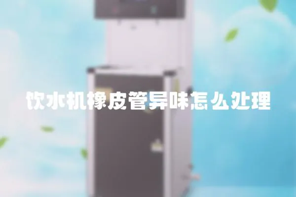 飲水機橡皮管異味怎么處理