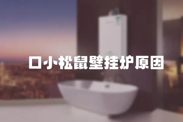 硚口小松鼠壁掛爐原因