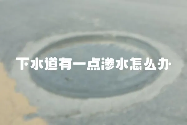 下水道有一點滲水怎么辦