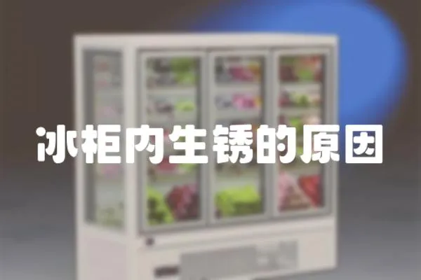 冰柜內生銹的原因