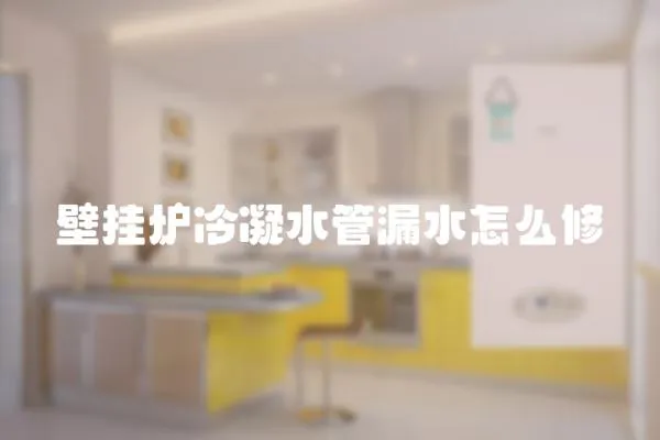壁掛爐冷凝水管漏水怎么修