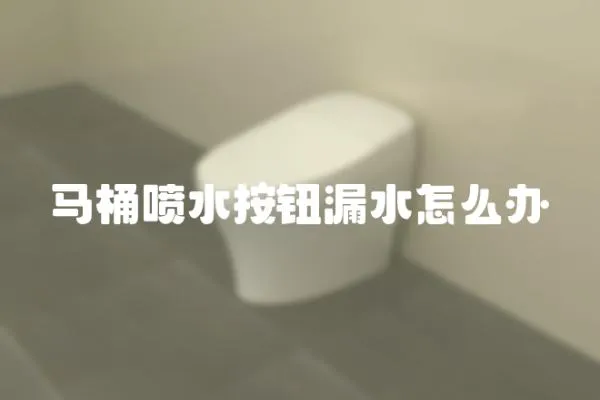 馬桶噴水按鈕漏水怎么辦