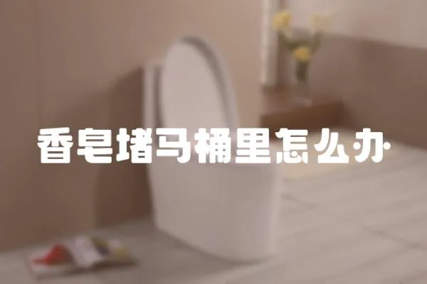 香皂堵馬桶里怎么辦