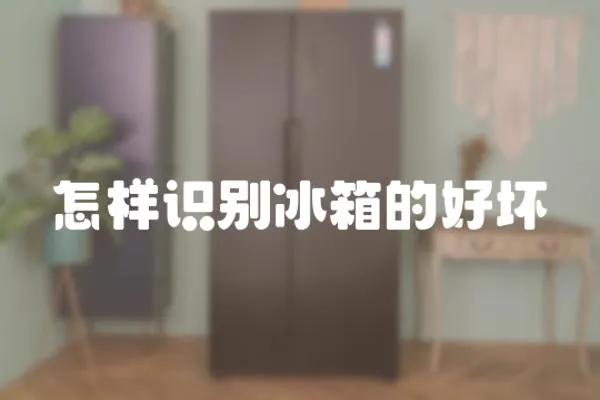怎樣識別冰箱的好壞
