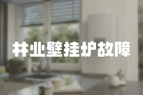 林业壁挂炉故障