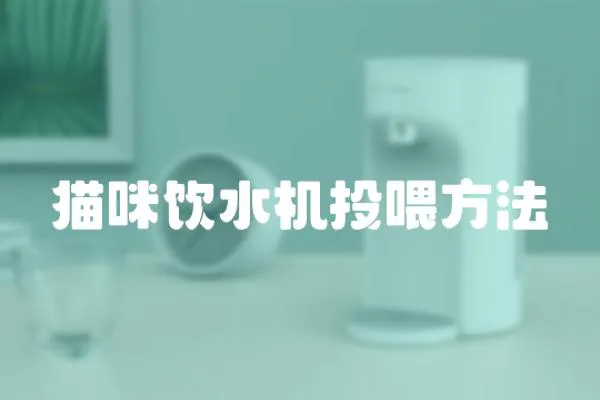 貓咪飲水機投喂方法