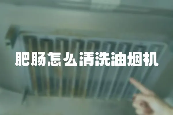 肥腸怎么清洗油煙機