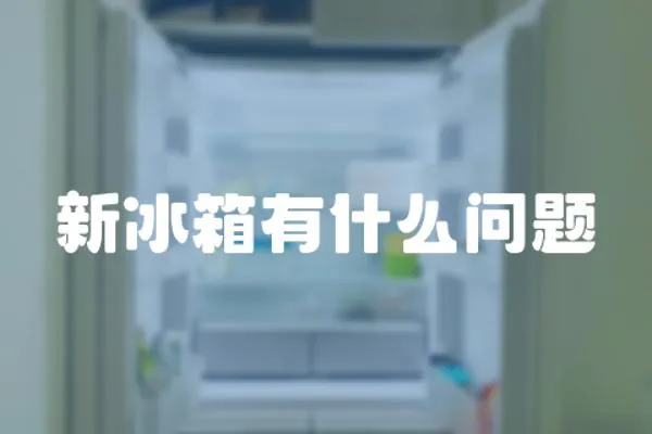 新冰箱有什么問題