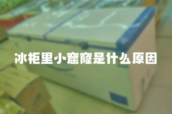 冰柜里小窟窿是什么原因