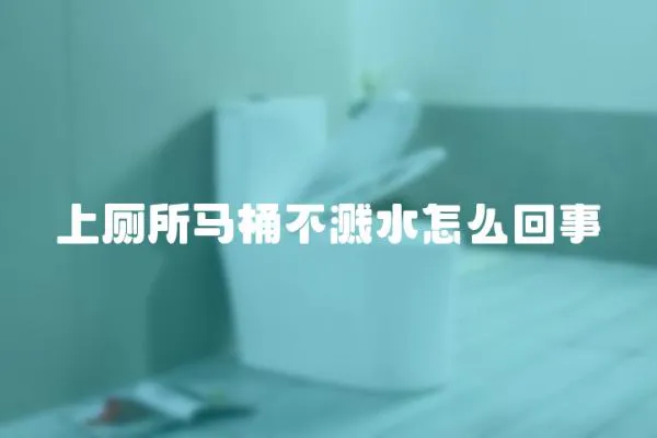 上廁所馬桶不濺水怎么回事