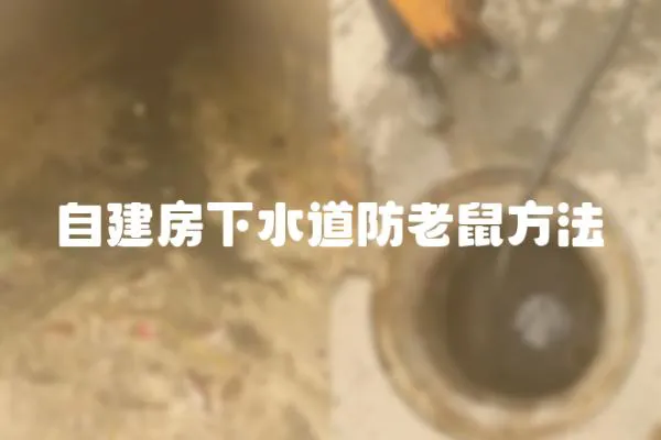 自建房下水道防老鼠方法