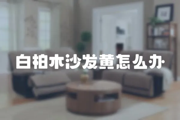 白柏木沙發(fā)黃怎么辦