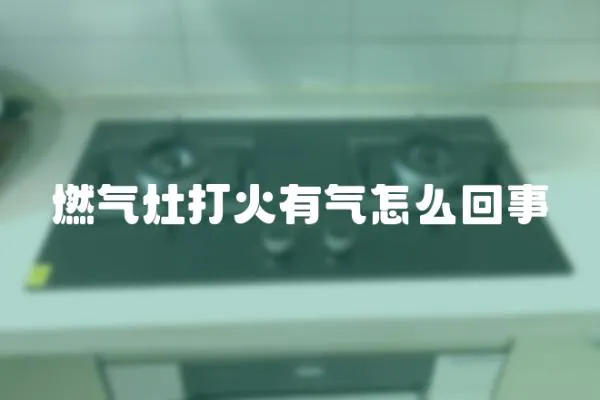 燃?xì)庠畲蚧鹩袣庠趺椿厥?></a></div>
                    <div   id=