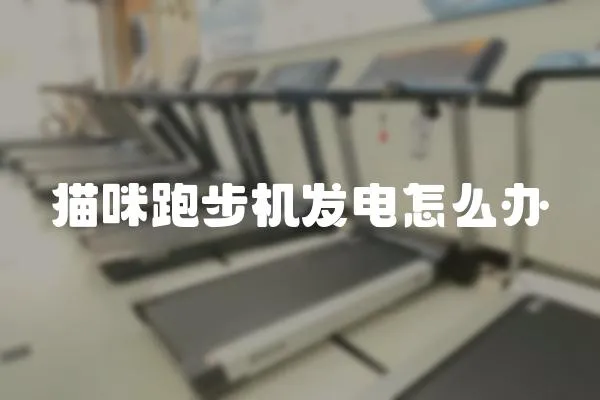 貓咪跑步機(jī)發(fā)電怎么辦