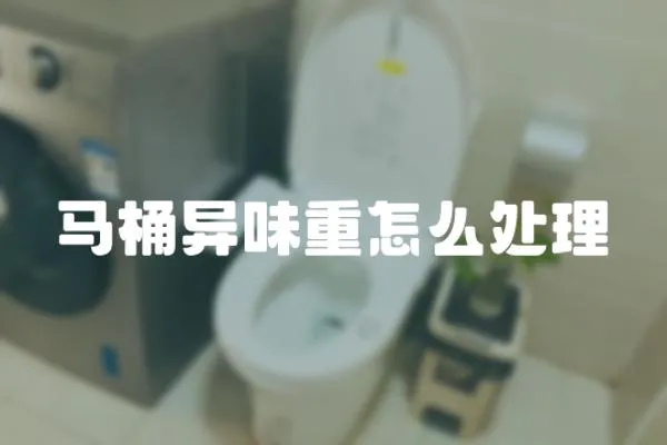 馬桶異味重怎么處理