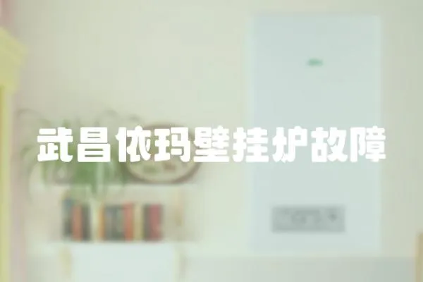 武昌依瑪壁掛爐故障