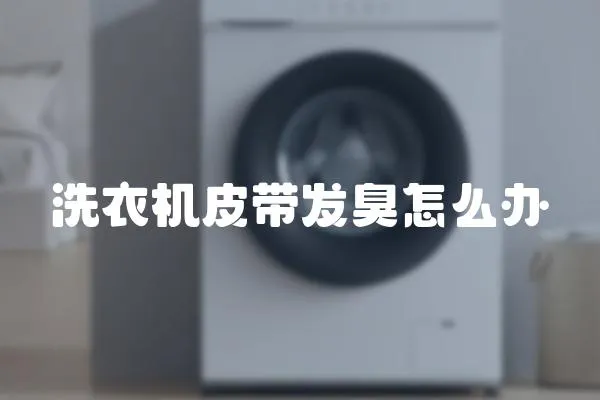 洗衣機皮帶發臭怎么辦