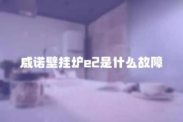 威諾壁掛爐e2是什么故障