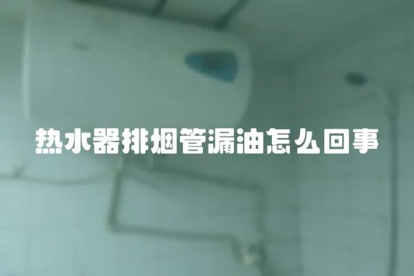 熱水器排煙管漏油怎么回事
