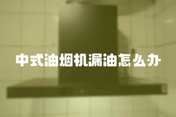 中式油煙機漏油怎么辦