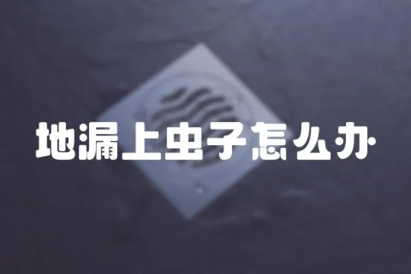 地漏上蟲子怎么辦