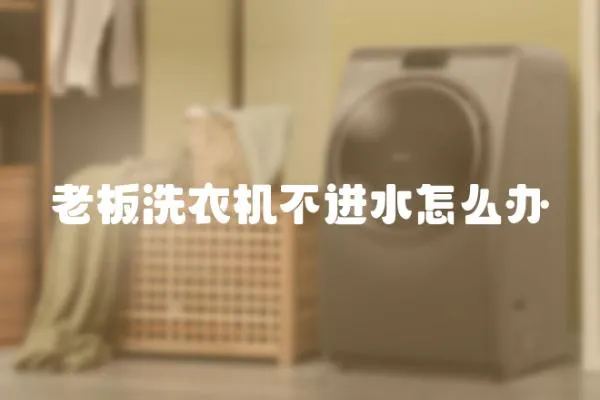 老板洗衣機(jī)不進(jìn)水怎么辦