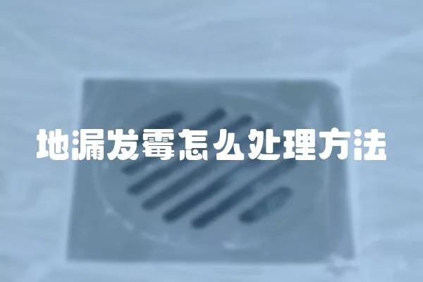 地漏發霉怎么處理方法