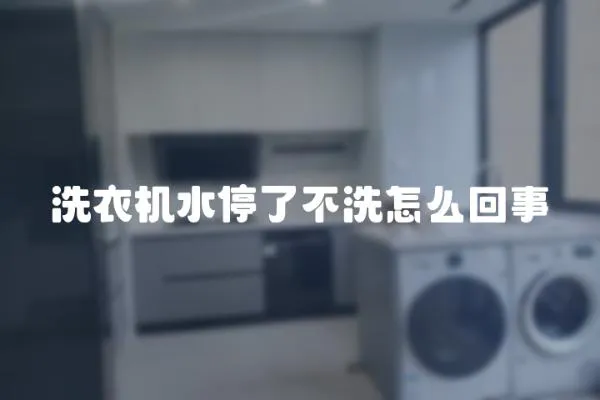 洗衣機水停了不洗怎么回事