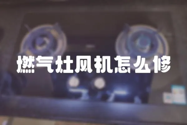 燃?xì)庠铒L(fēng)機(jī)怎么修