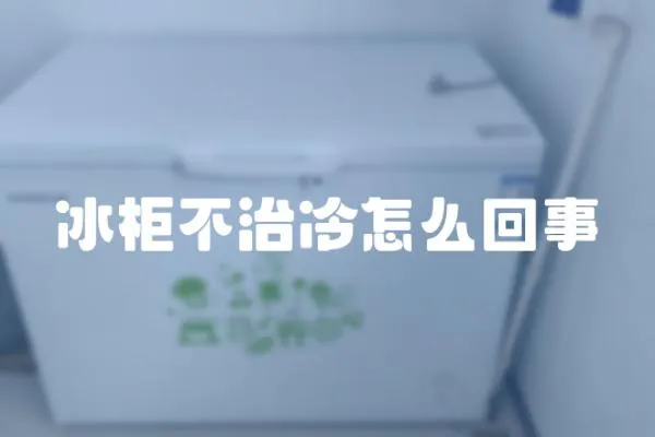冰柜不治冷怎么回事