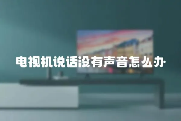 電視機說話沒有聲音怎么辦