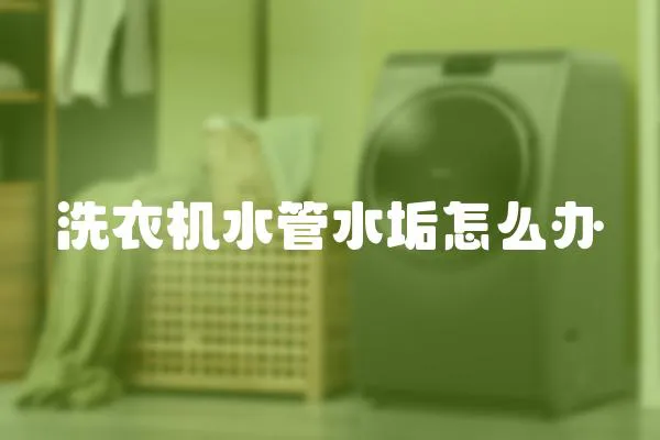 洗衣機(jī)水管水垢怎么辦