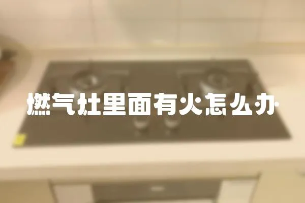 燃?xì)庠罾锩嬗谢鹪趺崔k