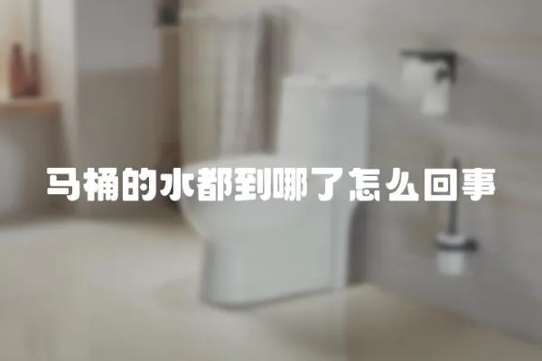 馬桶的水都到哪了怎么回事