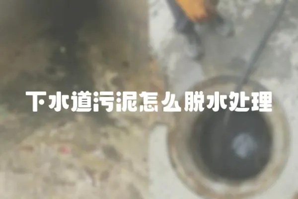 下水道污泥怎么脫水處理