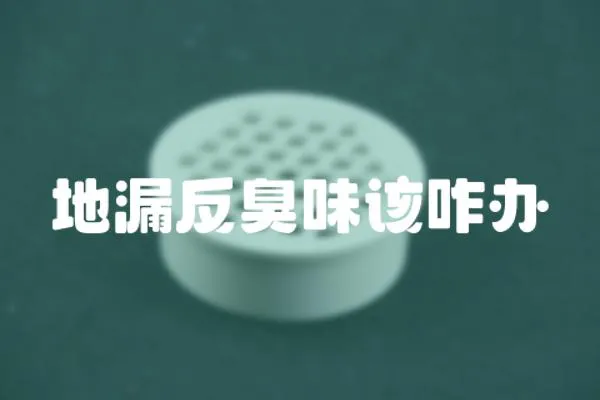 地漏反臭味該咋辦
