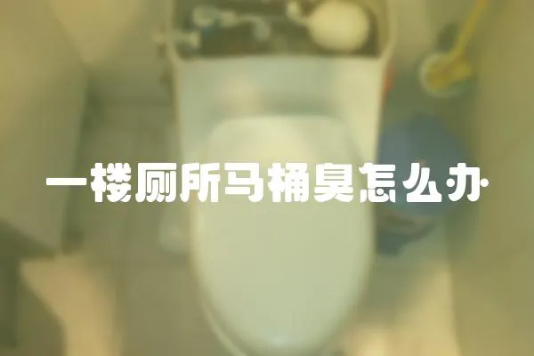 一樓廁所馬桶臭怎么辦