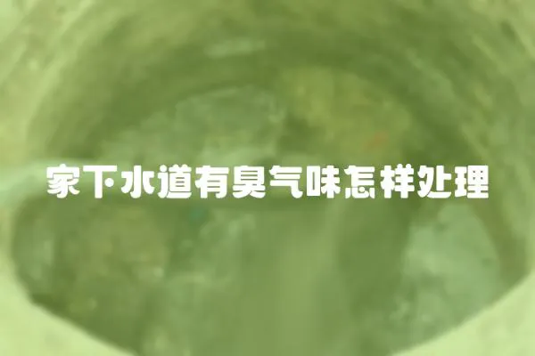 家下水道有臭氣味怎樣處理