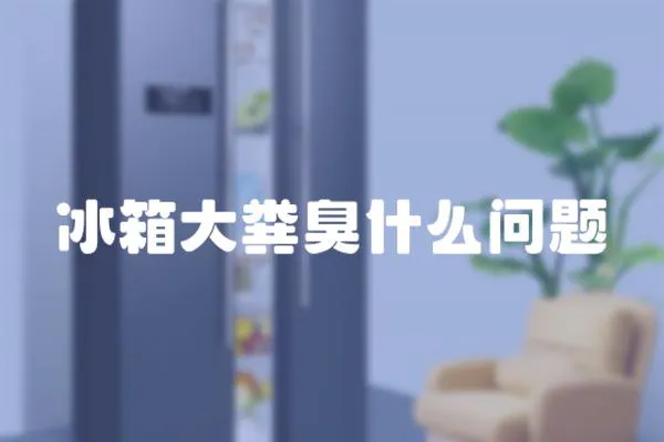 冰箱大糞臭什么問題