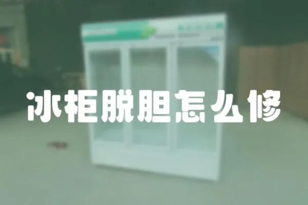 冰柜脫膽怎么修