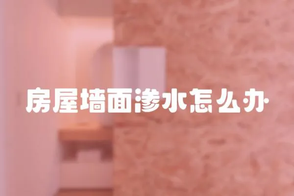 房屋墻面滲水怎么辦