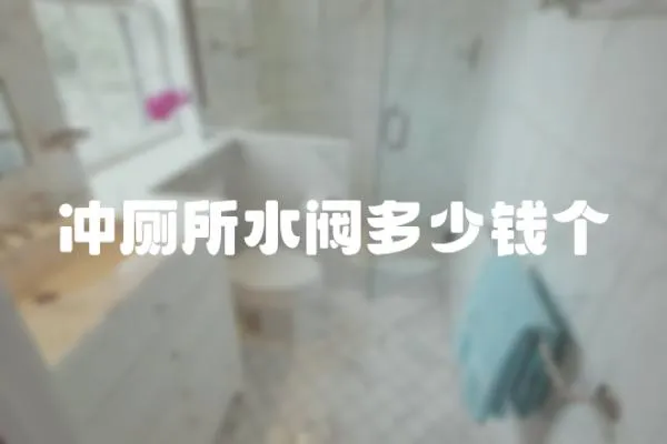 沖廁所水閥多少錢個