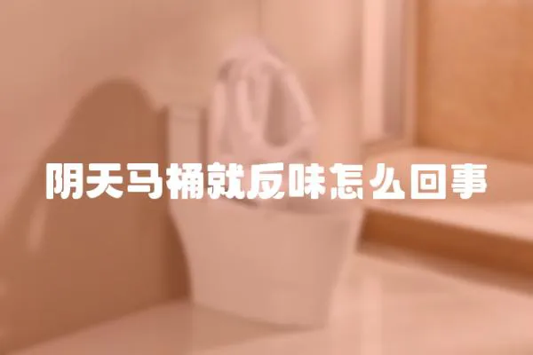 陰天馬桶就反味怎么回事