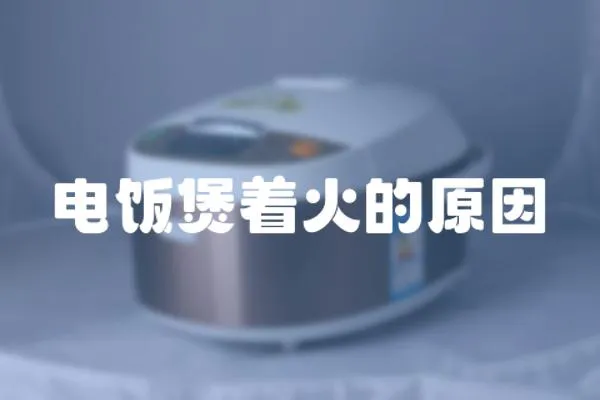 電飯煲著火的原因