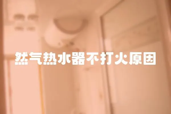 然氣熱水器不打火原因