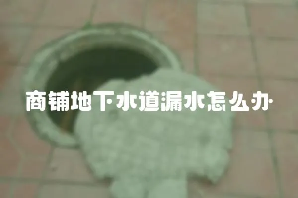 商鋪地下水道漏水怎么辦