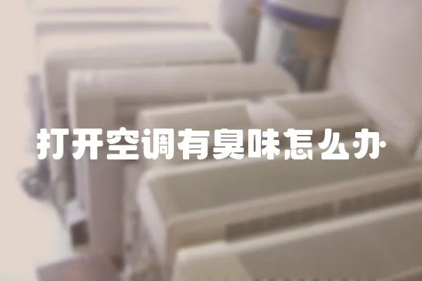 打開空調有臭味怎么辦