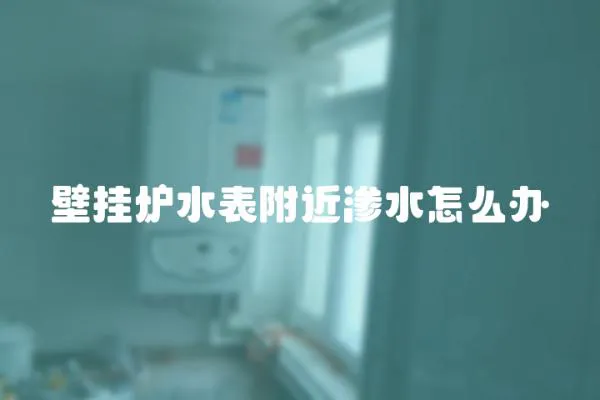 壁掛爐水表附近滲水怎么辦